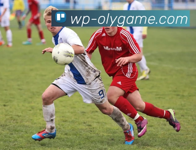 奥林匹斯之门试玩APP 体育赛事宣传图